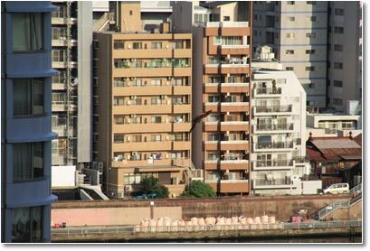 Eastern buzzard Kamejima River Sluice Gate. jpg