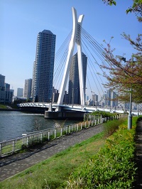 Chuo-ohashi Bridge 2.jpg