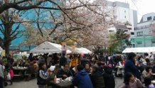 Echizenbori Park Hanami 1.jpg