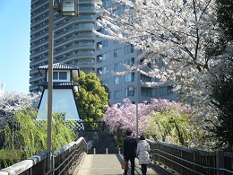 140405Ishikawajima.JPG