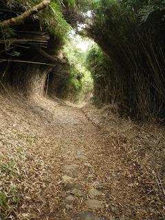 Hakone Old Highway _1.JPG