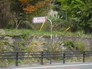 Hakone Old Highway _3.JPG