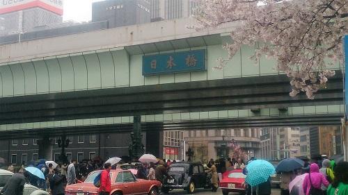 Nihonbashi and Cherry Blossoms jpg