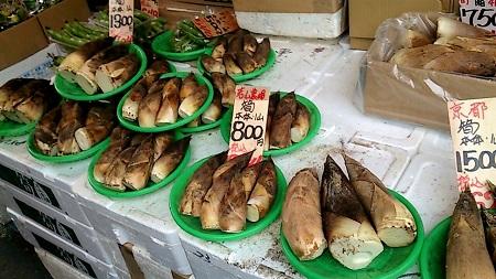 Bamboo shoots _450.jpg