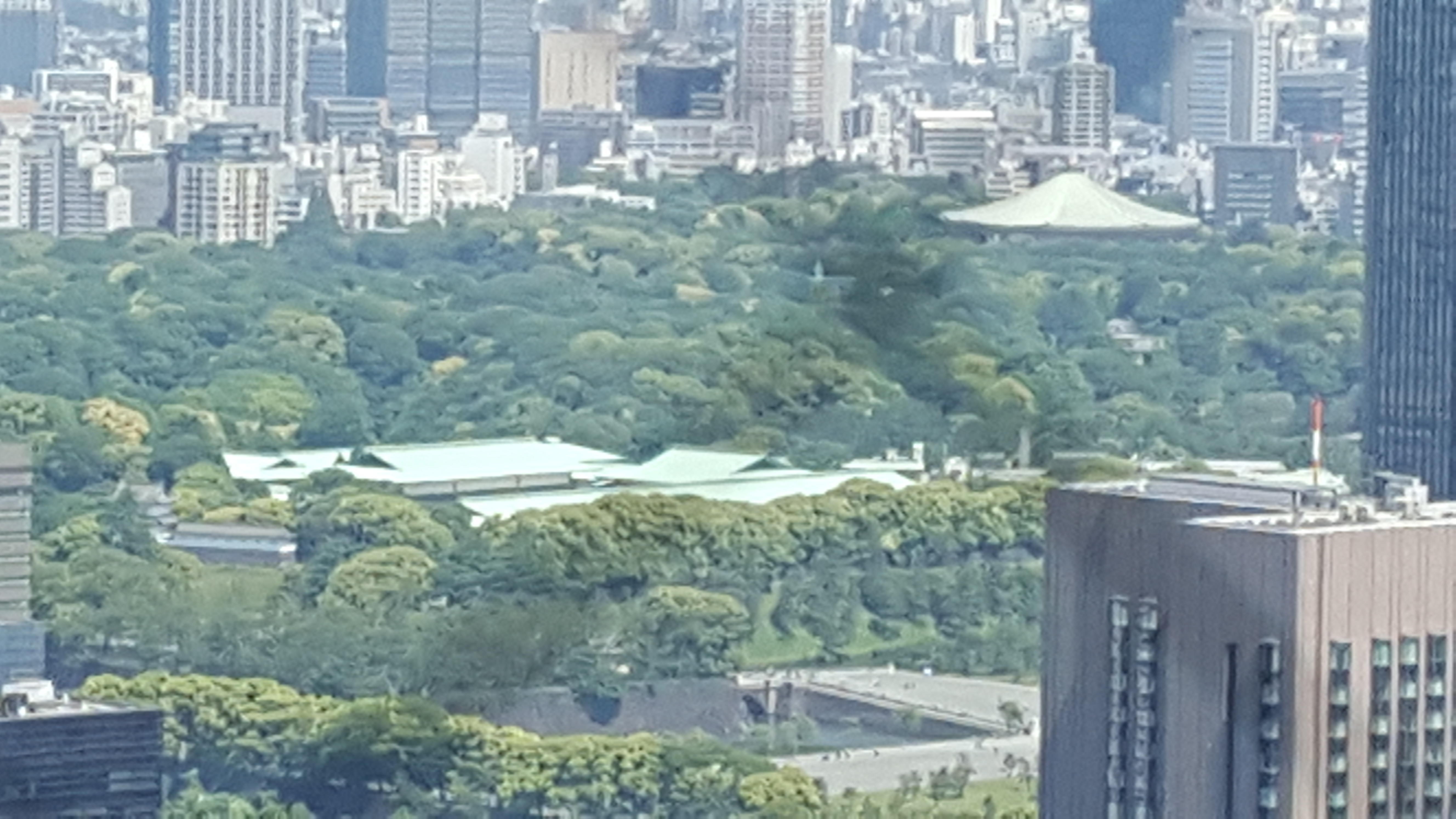 May 2018 _From Dentsu to the Imperial Palace. jpg