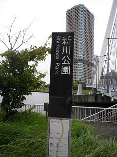 00_ Shinkawa Park. JPG