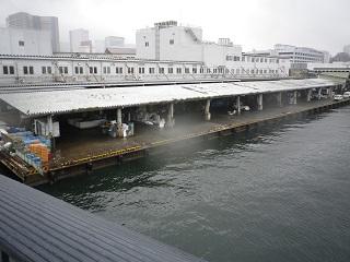 Tsukiji Market (4.) JPG