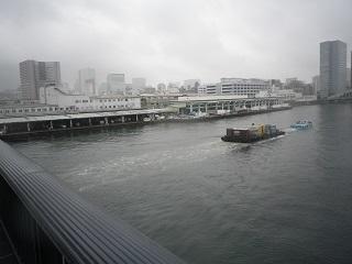 Tsukiji Market (5. JPG