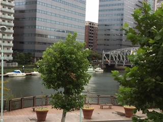 View the Kamejima River from Sakuragawa Rooftop Park. jpeg