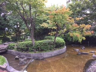 Autumn leaves at Sakuragawa Rooftop Park. jpeg