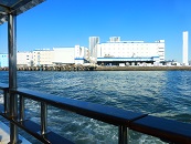 P1000789-toyomi.jpg