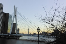 Sumida River in the morning (2.) jpg