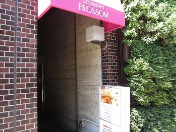 blossom12.JPG