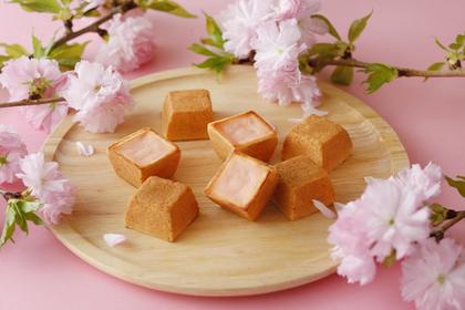 Spring Chees (Sakura) 2a.jpg