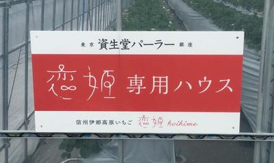 Koihime Signboard a.jpg