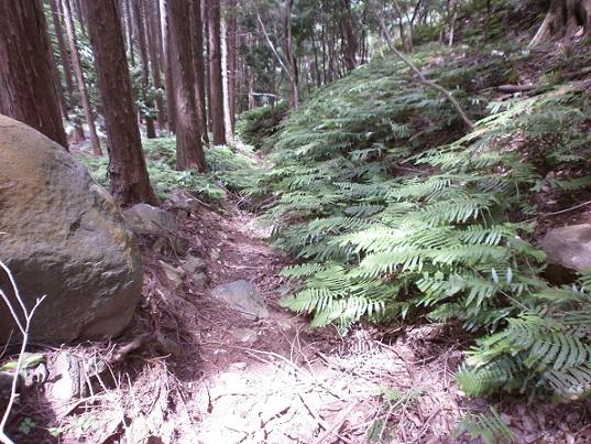 Road without Road (Mt. Nakou).jpg