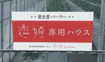 Koihime Signboard a.jpg