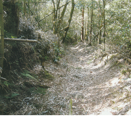 Stone pulling path (Mt. Nakou).png