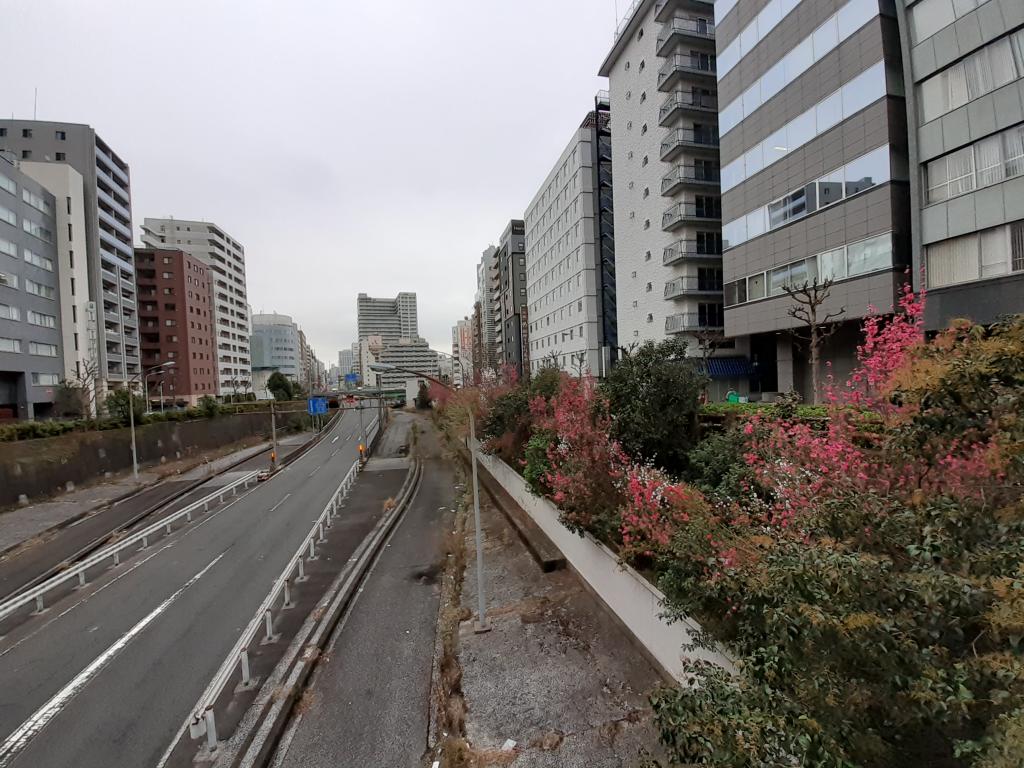  The mystery of the expressway running along the ruins of the Tsukiji River