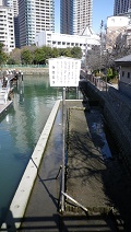  Tsukuda-ohashi Bridge Light Up