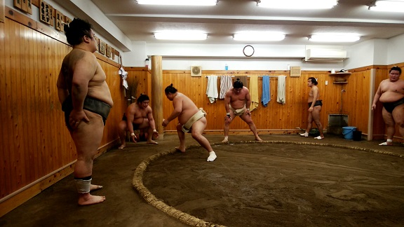  Arashio's Room "Morning Practice and sumo wrestlers' hot pot"