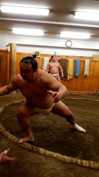  Arashio's Room "Morning Practice and sumo wrestlers' hot pot"