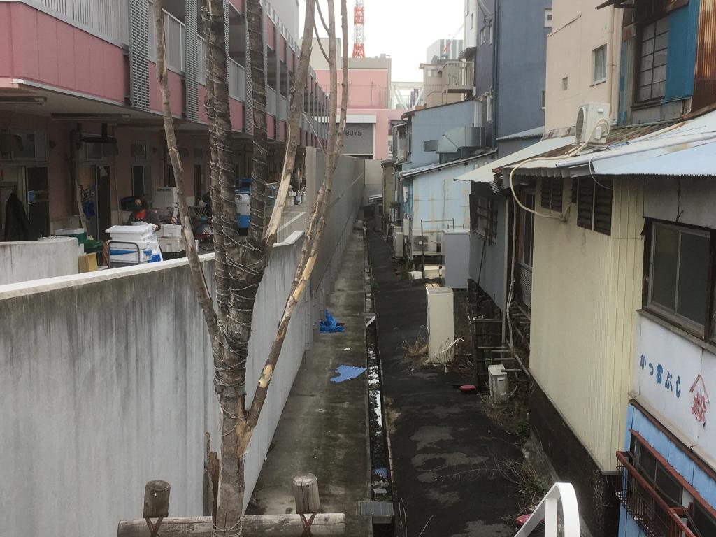  Walk along the ruins of the Tsukiji River Nanshi River and Higashi Branch River!