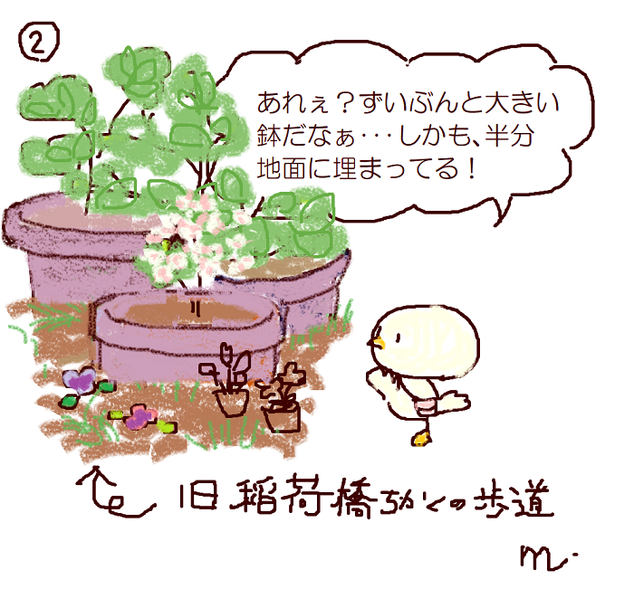  Minato kid! 2. potted plants in Minato