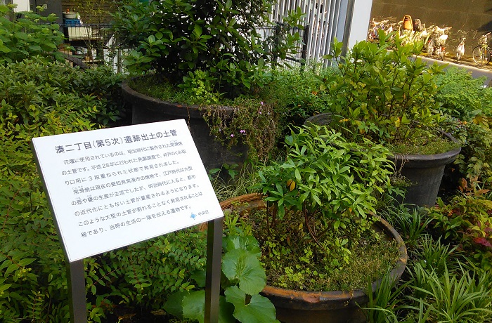  Minato kid! 2. potted plants in Minato