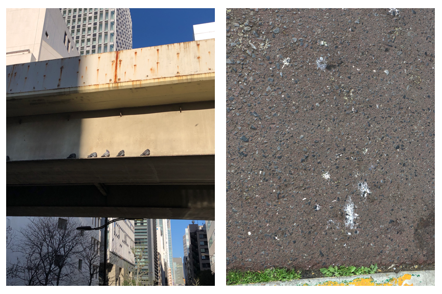  Measures against pigeon damage in the viaduct that straddles the Matsuhata Bridge