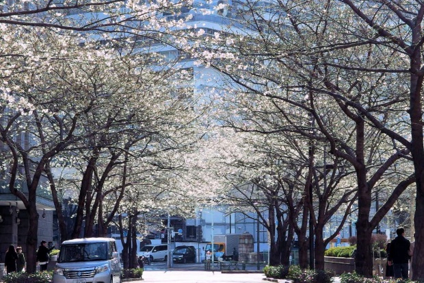  I feel the Meiji era ・ The Bank of Japan and Jobanbashi