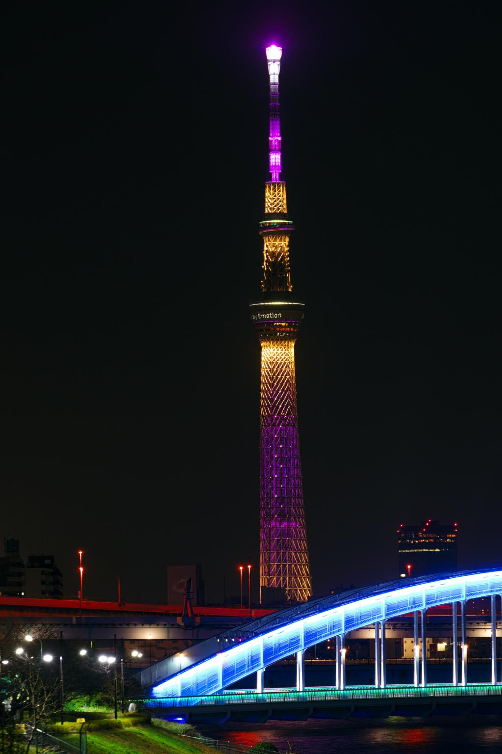 I want to see the Sky Tree better…… With Magnolia kobus in Kodemmacho…