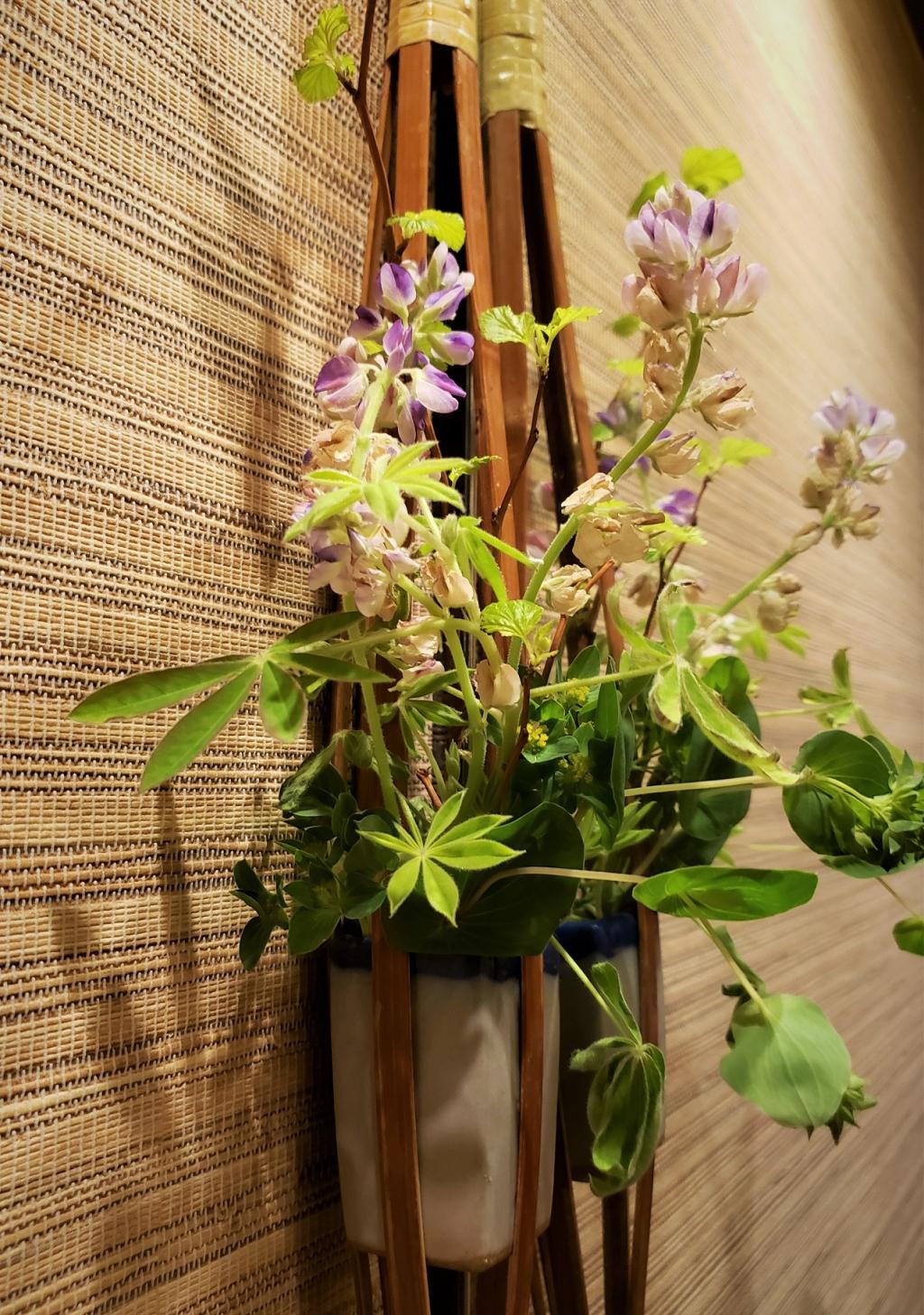  Tsukishima Sake bar "Tokinoya" is colored with a selection of furnishings selected by landlady.