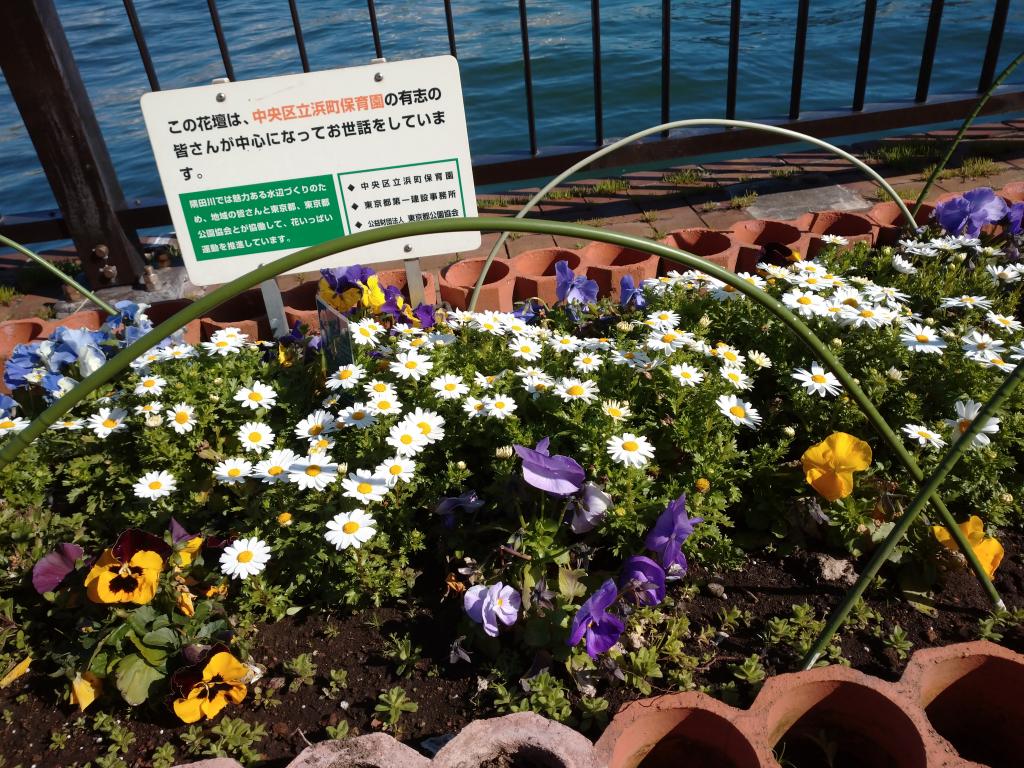 Let's survive the temporary closure of flowers that the children took care of! ~Part 3 Walk on the Sumida River Terrace ~