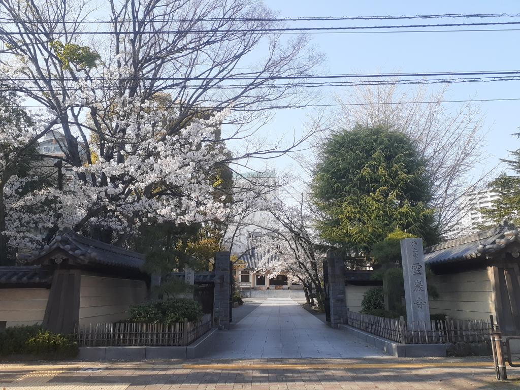  The Seven Wonders of Rei Kishijima, which has been handed down since the Edo period, known to those who know it.