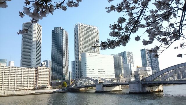 On the Sumida River Terrace, you can enjoy the atmosphere of an ancient city where cherry blossoms bloom.　