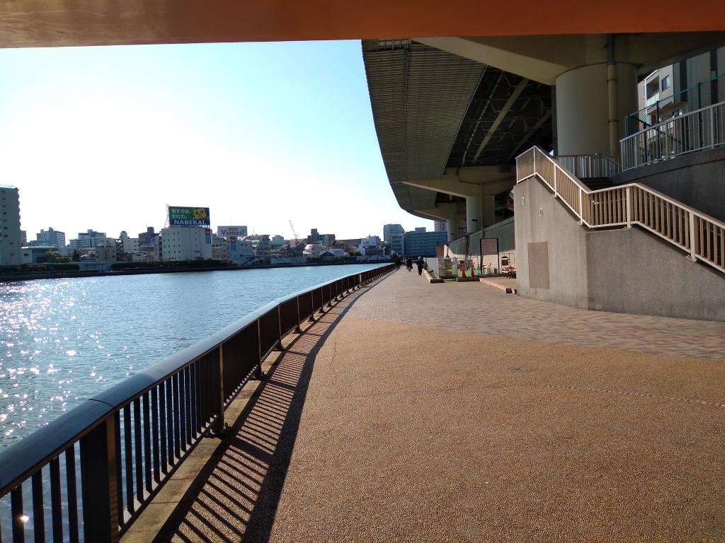  Dog run on the Sumida River Terrace