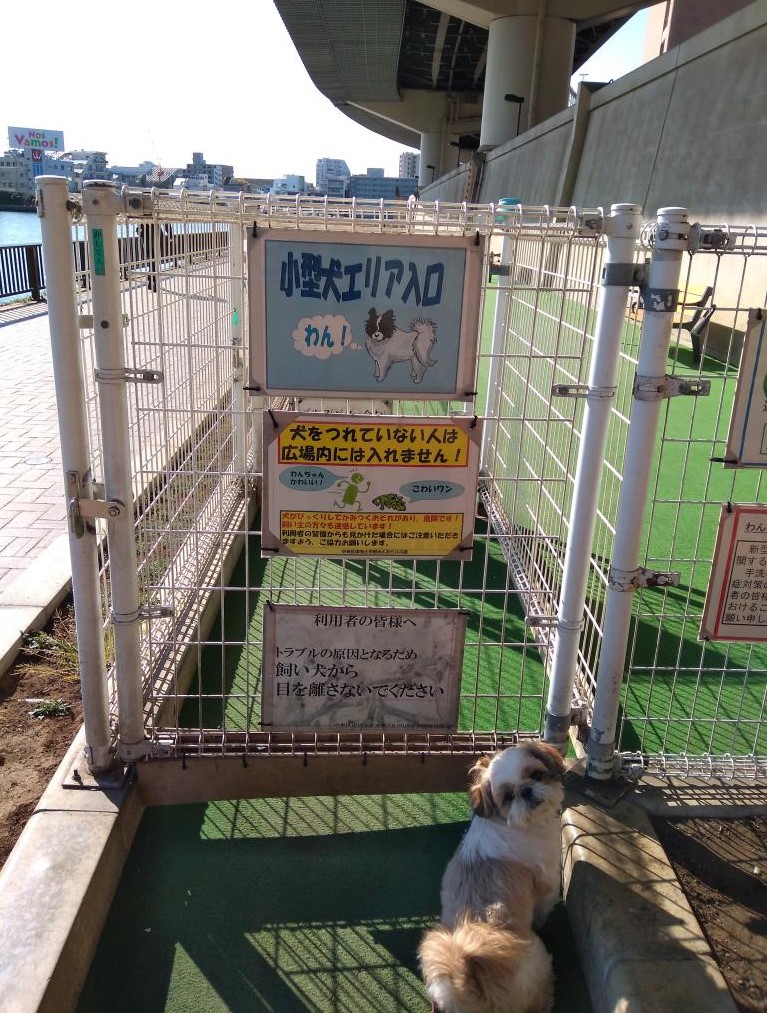  Dog run on the Sumida River Terrace