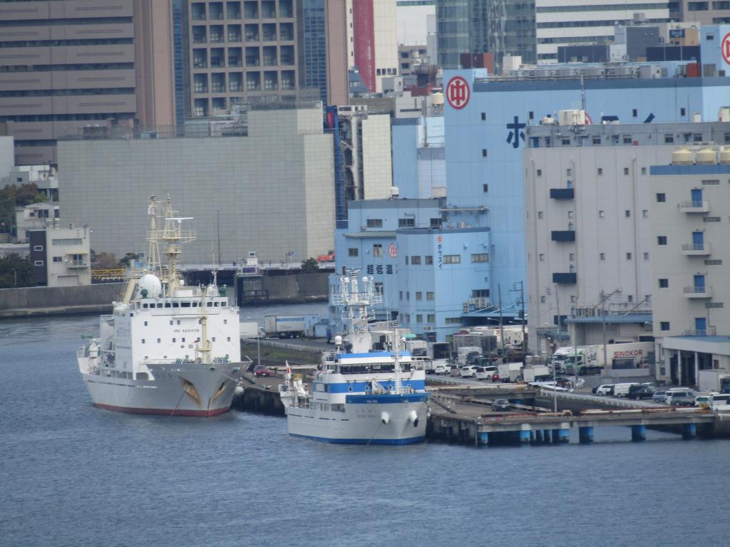  Chuo-ku as seen from Rainbow Bridge