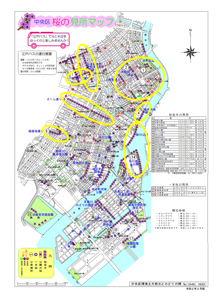 First of all, get the "Chuo-ku Cherry Blossom Spot Map"! In Chuo-ku, you can enjoy unexpectedly cherry blossoms.♪