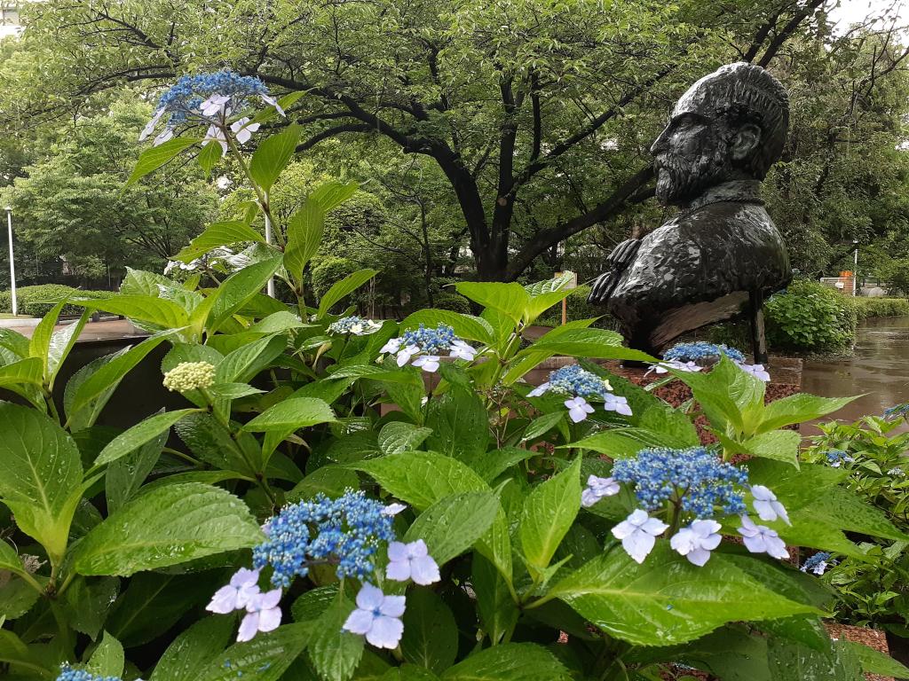  Chuo-ku-June edition with birth flowers