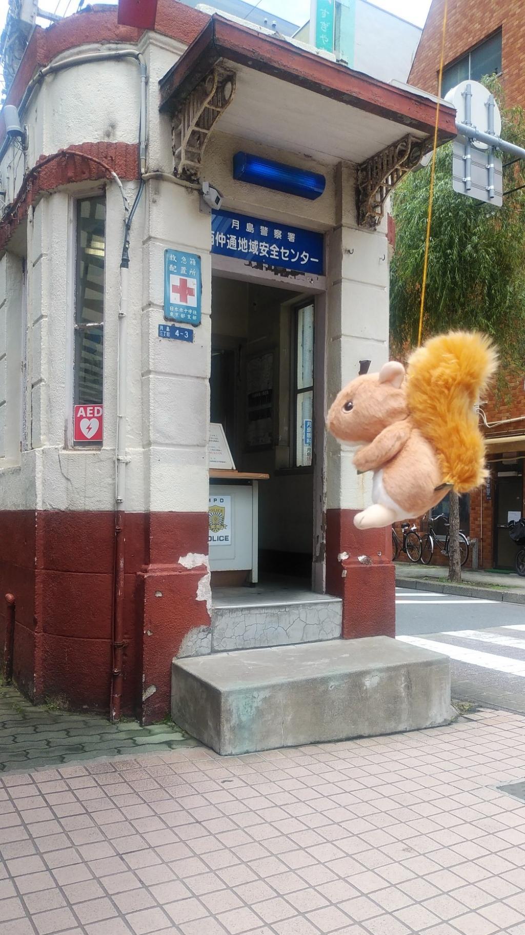  Look for a child squirrel!　The Tsukishima Investigation Network.