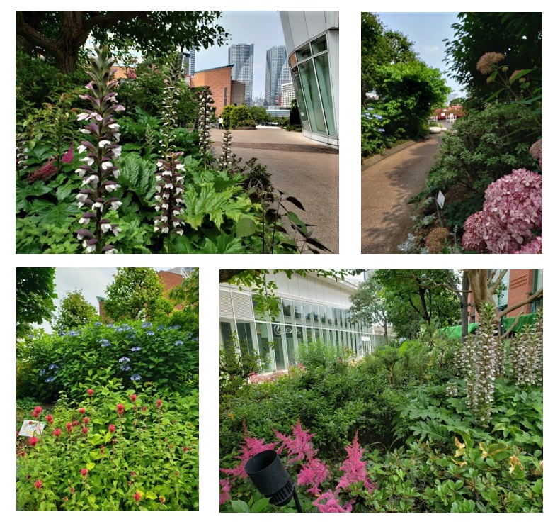  The garden at Harumi Triton Square is also nice on rainy days.