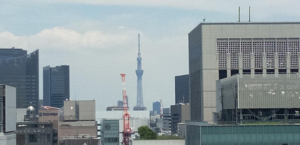  Attraction of GINZA SIX (2) Rooftop Garden