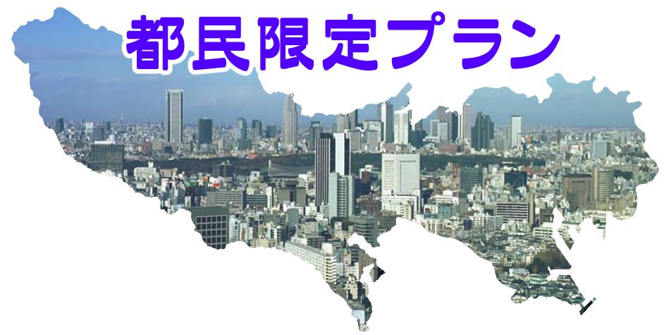 Tokyo Metropolitan Limited Plan Microtourism in Chuo-ku