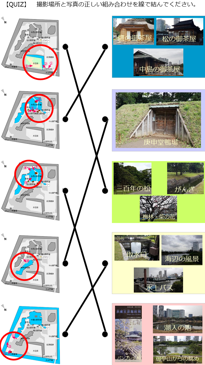 Click here for the correct answer [Hamarikyu Onshi Garden (Part 2)] Recommended walking route.
What is the correct combination of photography and shooting location?　Click here for the correct answer→