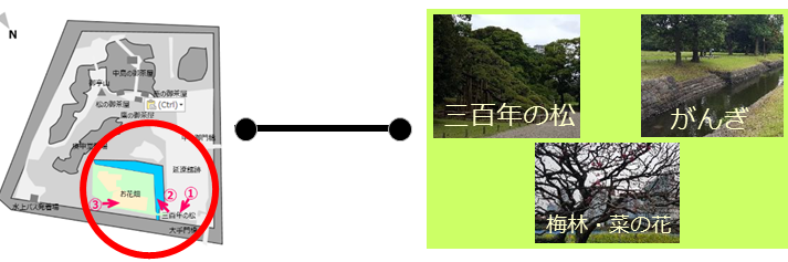 [Ote-mon gate Zone]　①Pine 300 Years of Pine 2 Gangi 3 Bairin Flower Garden [Hamarikyu Onshi Garden (Part 2)] Recommended walking route.
What is the correct combination of photography and shooting location?　Click here for the correct answer→