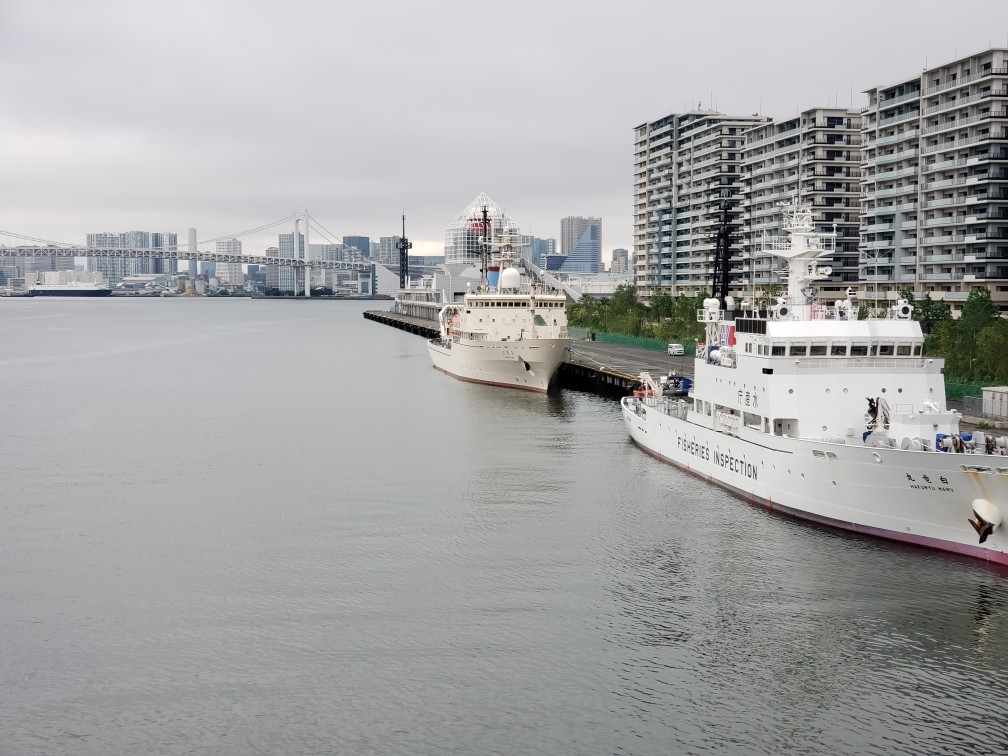  Hakuryu Maru Hakuho Maru was anchored at Harumi Wharf.　