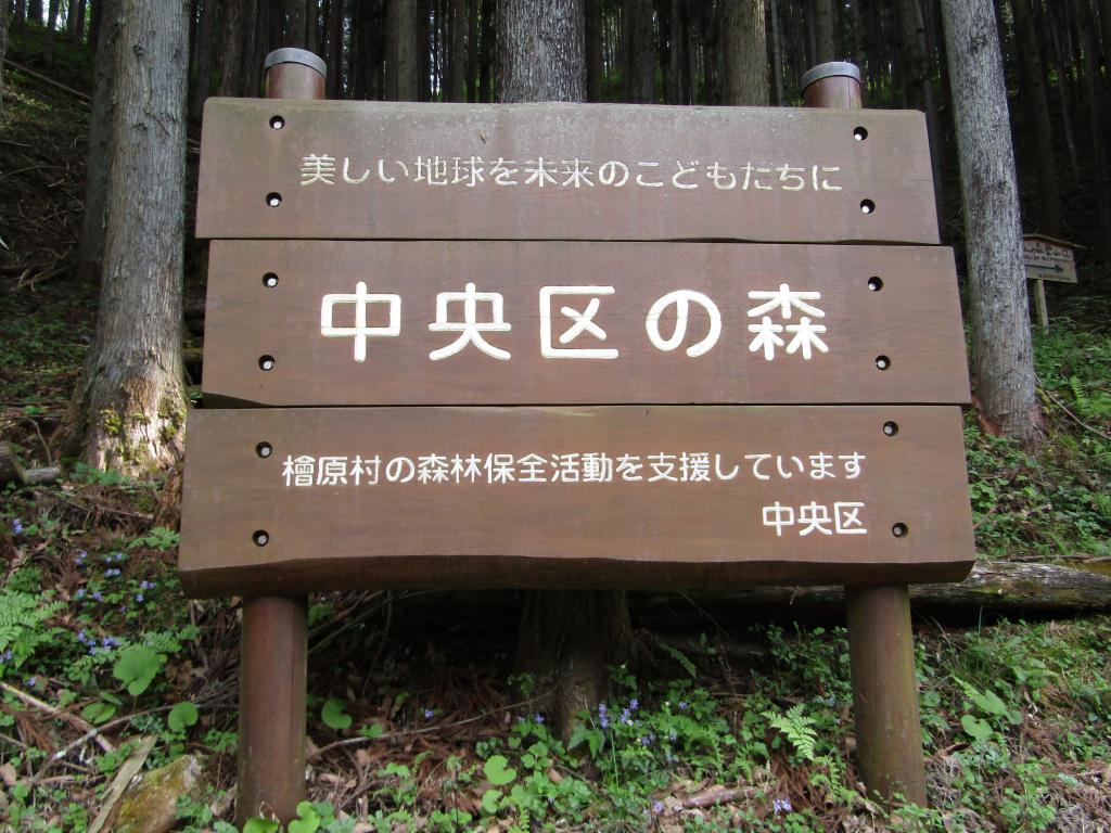  [The 14th Excursion Series] It wasn't just the forest! "Chuo-ku" found in Hinohara Village