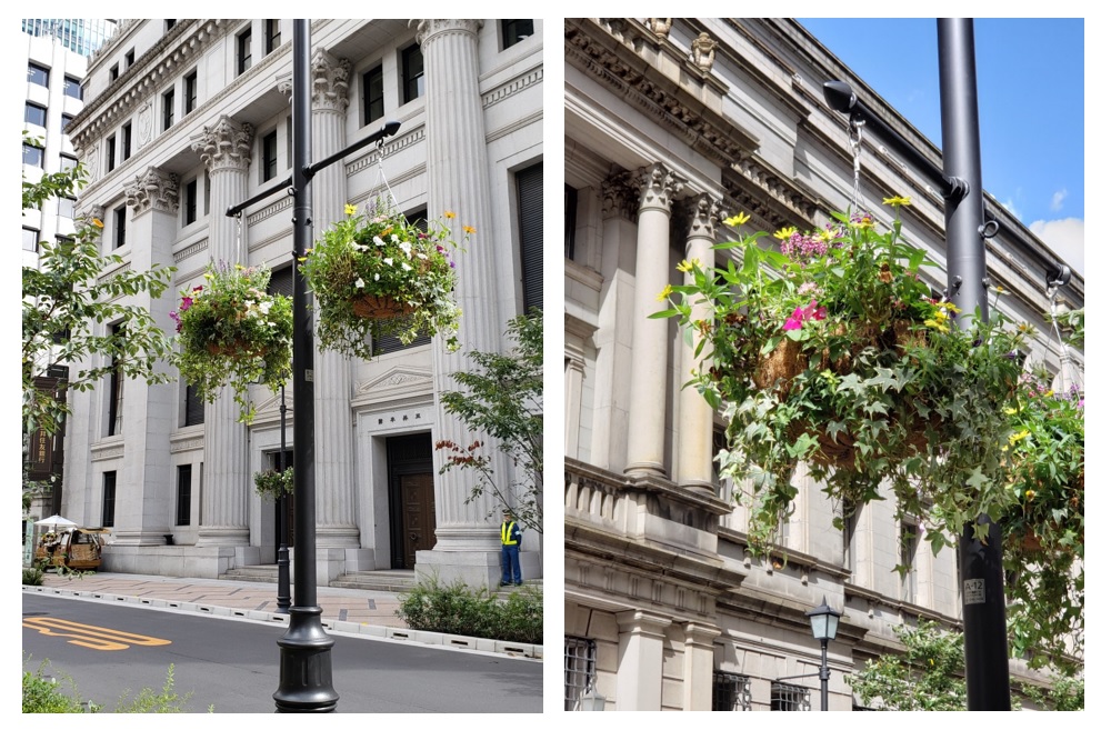  A lot of flower pots are served with Aya on Bank of Japan Street.